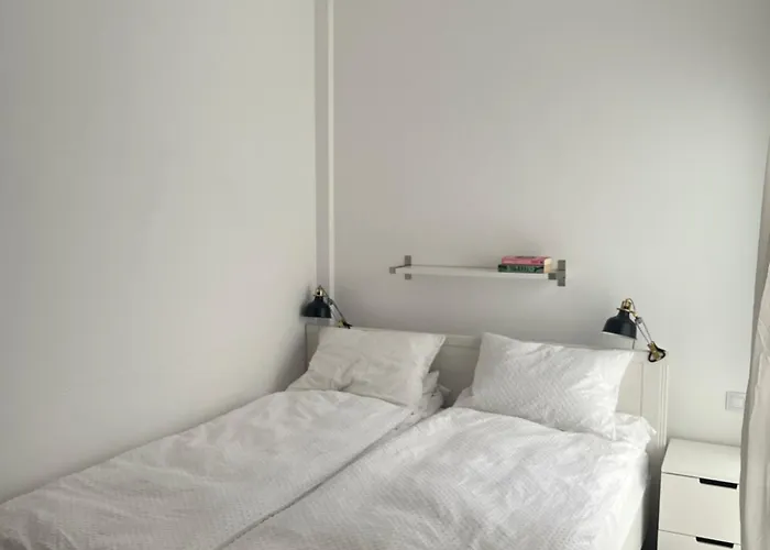 Lets In The Sun - Clavel * פואנגירולה